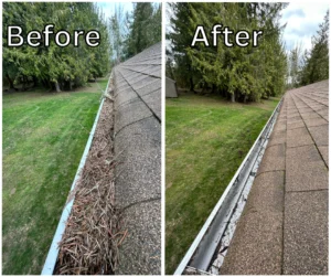 Gutter Cleaning