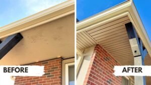 Fascia and Soffit Repair