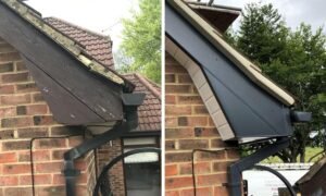 Fascia and Soffit Repair
